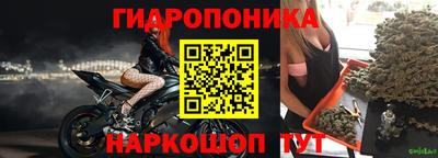 гашик Балахна