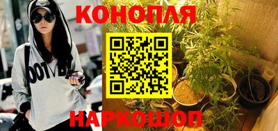 PSILOCYBIN Балаково