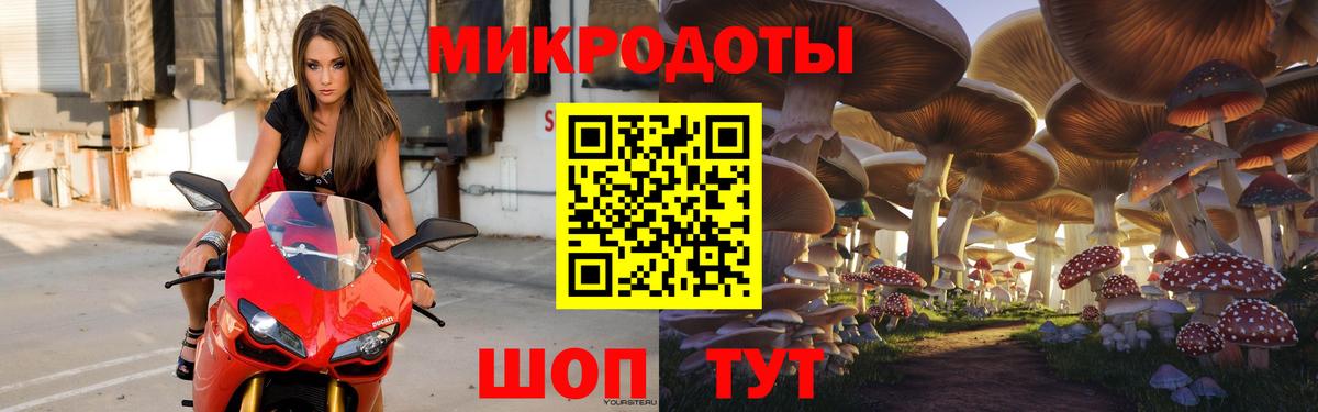 Галлюциногенные грибы Psilocybine cubensis Гагарин