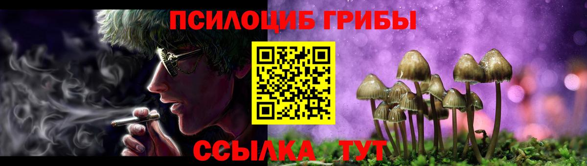 Псилоцибиновые грибы Magic Shrooms  Галлюциногенные грибы MAGIC MUSHROOMS  Гагарин 