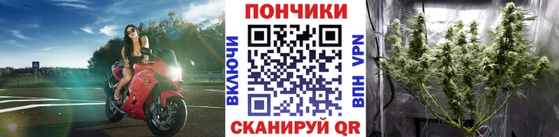 mega вход  darknet наркотические препараты  Бошки марихуана марихуана  Гагарин 